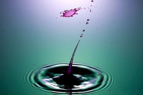 主角许怀夏盛聿小说免费阅读最新章节