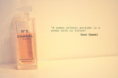 秦浅月季南珩全文免费大结局 秦浅月季南珩小说在线阅读