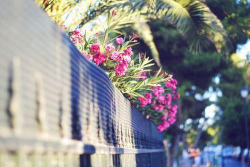 钟悦悦全文免费大结局 钟悦悦小说在线阅读