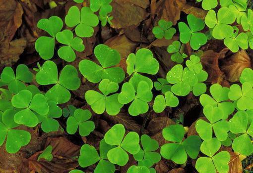 纪流年邓骊最新章节免费 纪流年邓骊在线阅读