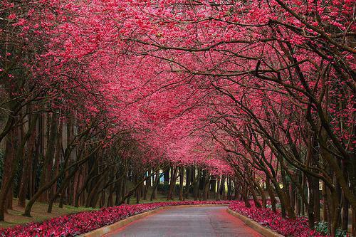 陆之谏月儿狐女为祸全文免费阅读无弹窗