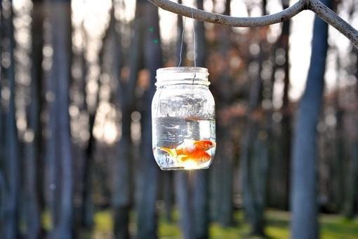 王离何梅免费全文无弹窗 九叔：无限炼化，从黄皮子开始小说在线阅读