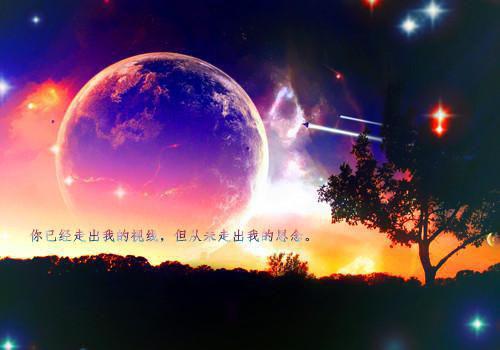 陆斐林月雅最后结局 陆斐林月雅完结版免费阅读