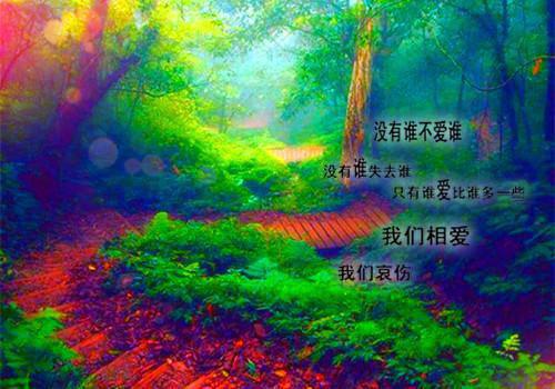 念奴娇·断虹霁雨原文赏析2篇