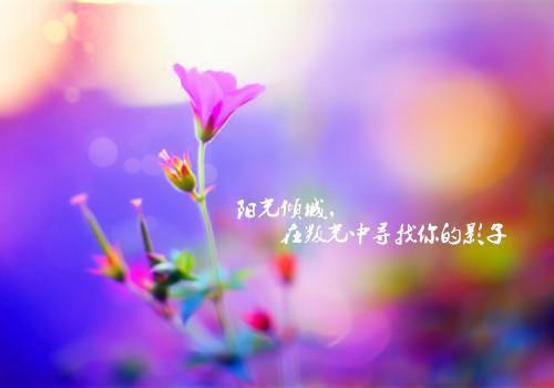 燕宏浩季风顾雪婷温暖小说全文 燕宏浩季风顾雪婷温暖小说免费阅读大结局