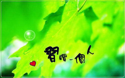 沈煜辉纪媛玉是哪部小说的主角 沈煜辉纪媛玉全文阅读