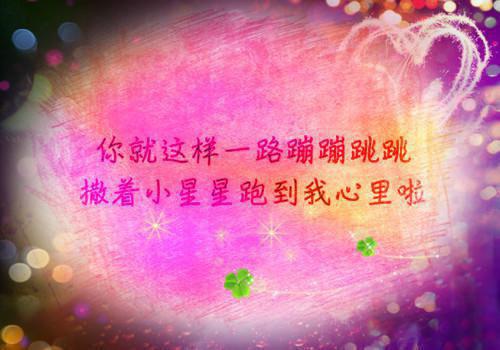 楚沁陆御景小说阅读 楚沁陆御景全文免费无广告