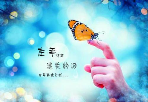 姜卓免费全文 姜卓小说在线阅读