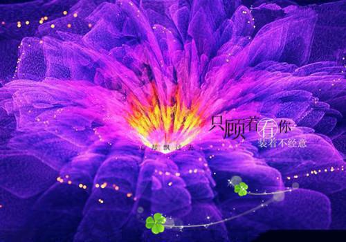 陆时砚黎舒比京辛月什么小说 陆时砚黎舒比京辛月全文免费阅读