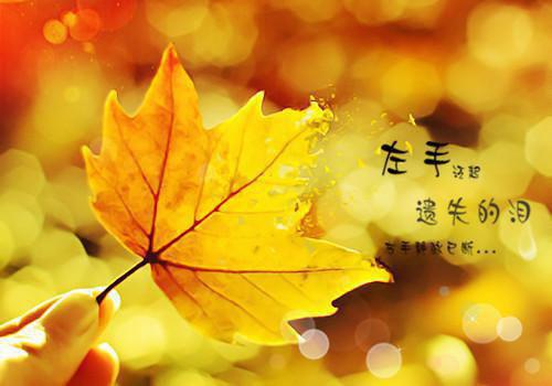 宋娇娇傅临川段嘉许小说全文免费阅读 宋娇娇傅临川段嘉许最新章节