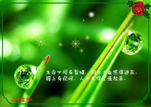 孟欣裴霆深小说 孟欣裴霆深免费章节阅读