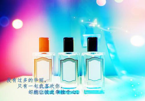 (最新)夏宁陆亦琛小说完整版免费阅读