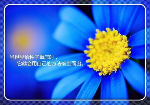 林言梁成小说阅读 林言梁成全文免费无广告