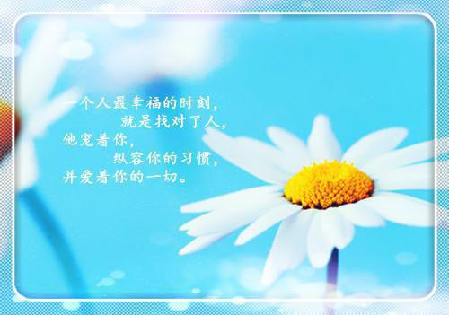 江鹤临薄闻雪小说名字 江鹤临薄闻雪全文免费阅读