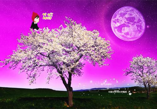 季名博温晓晓君有两意，我相决绝小说完结在线阅读