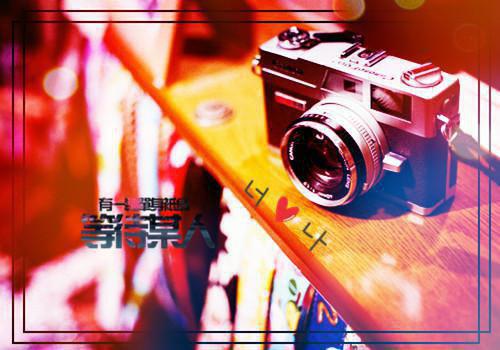 沈枝绵宋鸣飞（宋鸣飞沈枝绵）热推现言小说-沈枝绵宋鸣飞小说在哪里可以看全文