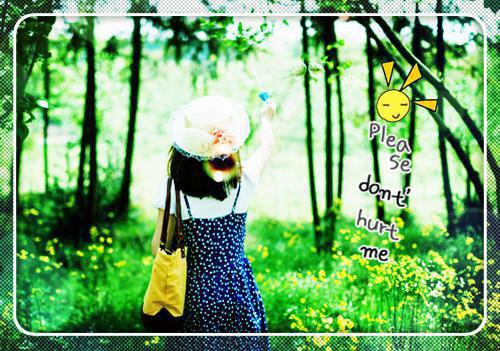 十年爱意止：陈泽柳如烟最新更新 柳如烟陈泽刘波小说在线阅读