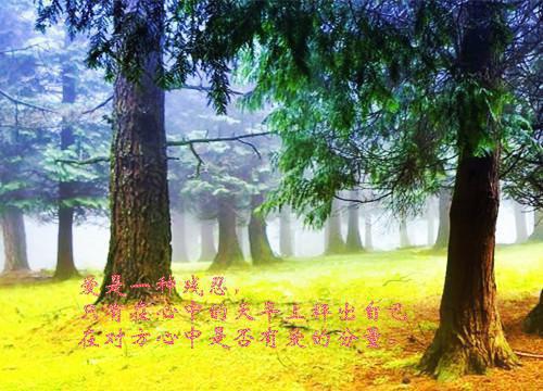 刘萍免费小说 刘萍全文阅读目录