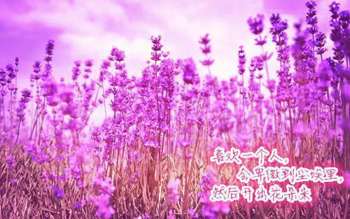 许欢颜尤言（许欢颜尤言）全文免费阅读-许欢颜尤言最新章节列表