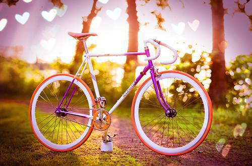 陆锦程陆怀瑜何梦圆完整未删减版在线阅读 陆锦程陆怀瑜何梦圆结局