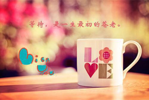 爸妈要我给养女做牛做马小说完整版 莫可妍莫可雨在线阅读