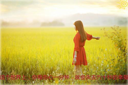 林苒慕瑾辞结局是什么 林苒慕瑾辞免费阅读全文