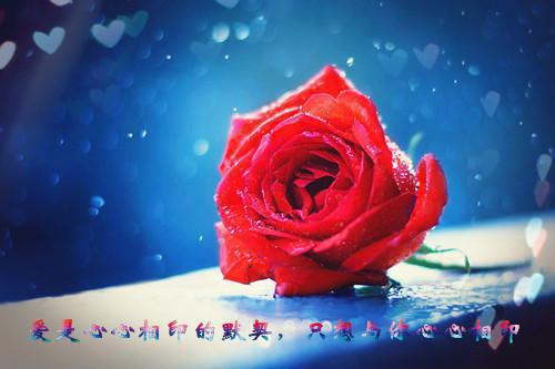 (完整版)严延霆宋芷怡顾蓝旭小说免费阅读无广告