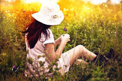 千金不换沈汀兰沈念兰最新章节在线阅读