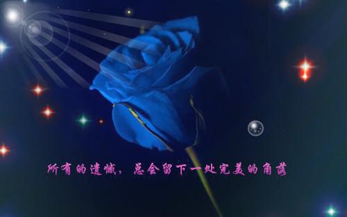 余烟唐泽许知白免费阅读无弹窗 余烟唐泽许知白最新章节