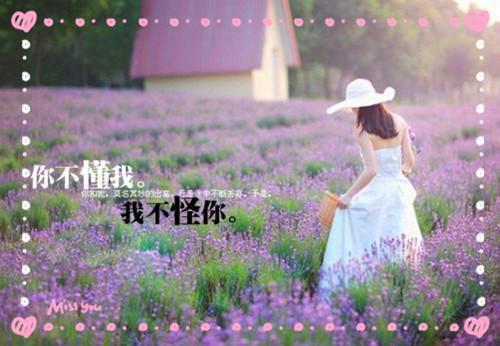 完整版《攻略失败后老公死了》(白芷路野)小说精彩章节手机内免费试读