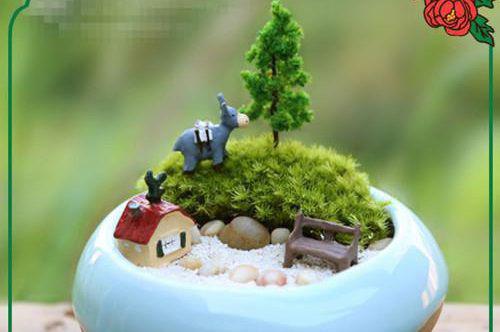 主角是姜初夏盛言璟的小说免费阅读全文大结局