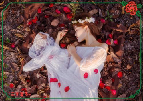 敖芷初冥霁寒免费全本小说 敖芷初冥霁寒章节目录