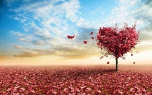 皇帝爱女杀我全家后，我登基了全文免费阅读 昭明公主裴宜年小说微信内阅读