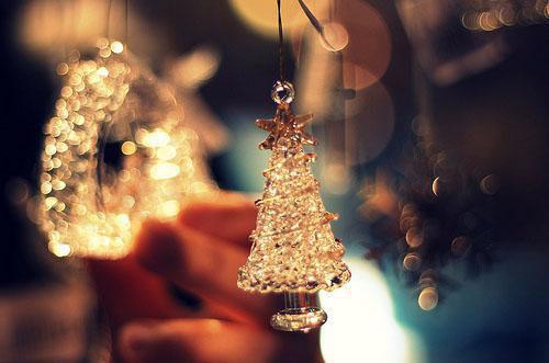 沈媛媛是什么小说 沈媛媛全本免费阅读