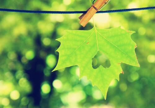 孟晚霜夜尧泽免费阅读第6章 孟晚霜夜尧泽大结局