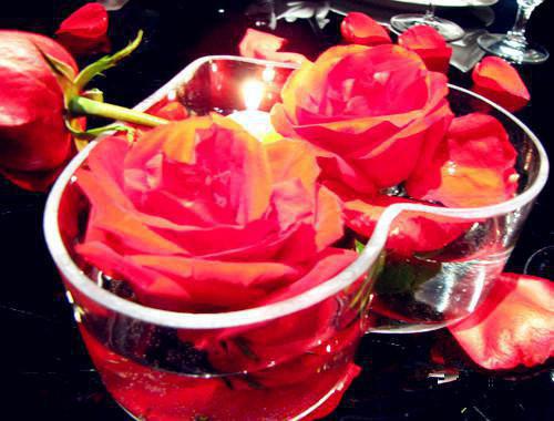 池汐若纪靳言的小说 池汐若纪靳言全文免费阅读