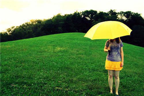 林梦之王志强免费阅读目录 林梦之王志强小说全文