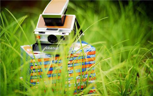 邵言川徐听晚小说全文 邵言川徐听晚小说免费阅读大结局