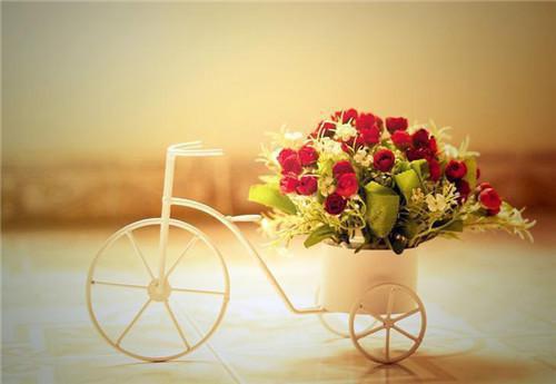 萧吴小说 萧吴免费章节阅读