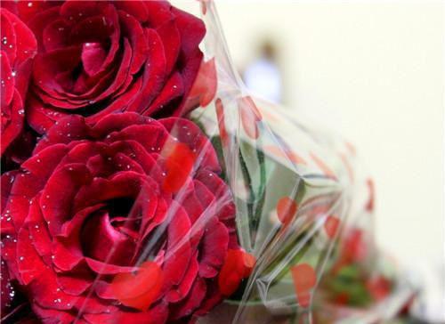 养大的儿子是白眼狼徐清周城完整版在线阅读全文