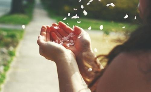 乔一谢文渊江眠小说 乔一谢文渊江眠免费章节阅读