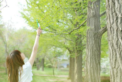 吴珂瑶齐司礼免费小说 吴珂瑶齐司礼全文阅读目录