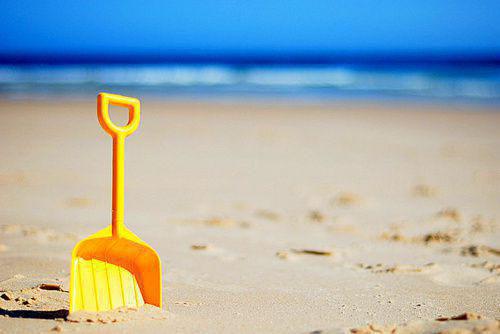 文星最后一章在线阅读 陈沐阳沈沁辞全文小说完整版