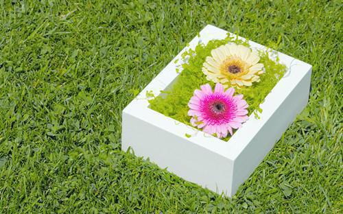 戚崇兰翠完整未删减版在线阅读 戚崇兰翠结局