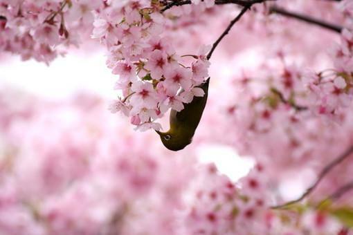 鬼蜂蜂后(完整版)全文免费阅读俞风磊江江小说