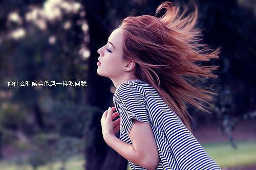 钟言纪知语小说在哪里看 钟言纪知语在线阅读