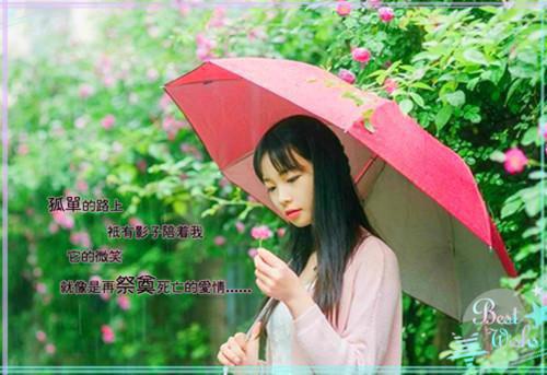 陈轻云曹原左沐小说名字叫什么 你只是我的白月光免费在线阅读