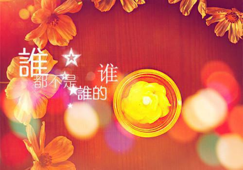 你在我对岸季斯琰夏添免费阅读苏惜月夏添季斯琰完整版小说全文章节app内免费阅读