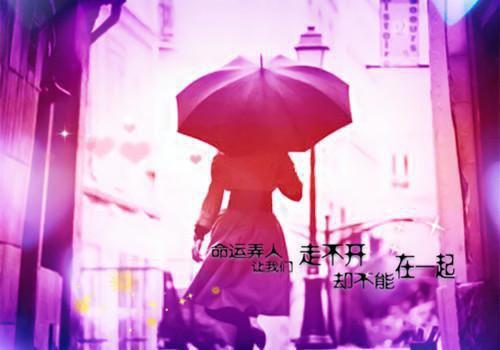 顾呈庄媛陈淮小说全免读 顾呈庄媛陈淮在线阅读