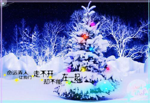 被白眼狼道侣和师妹背刺后,我拔去情丝陵游紫素大结局在线阅读全文